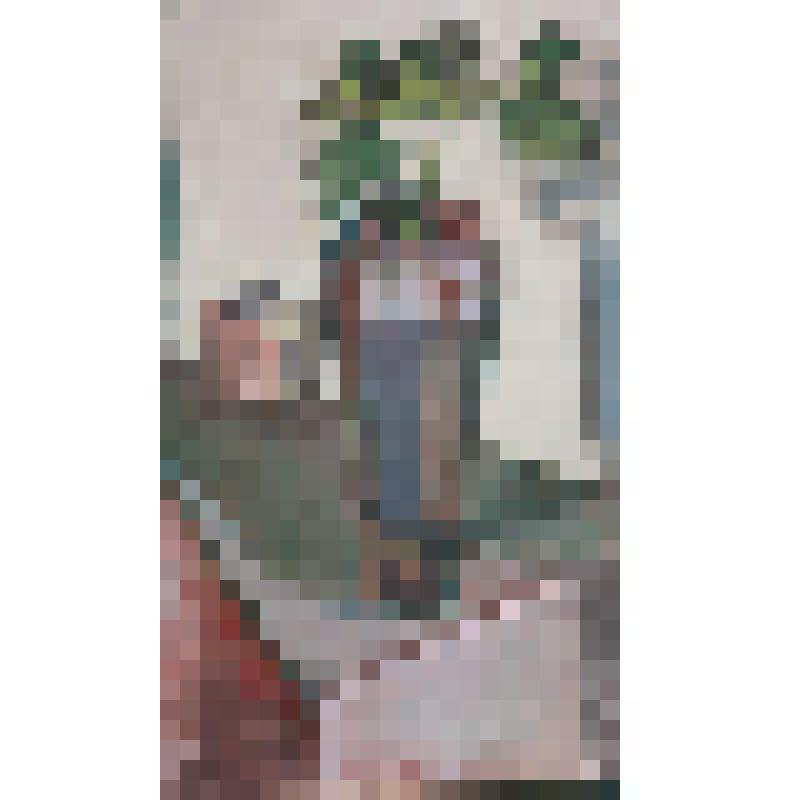 Ветка в кувшине