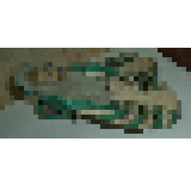 Обувь женская "Сабо"