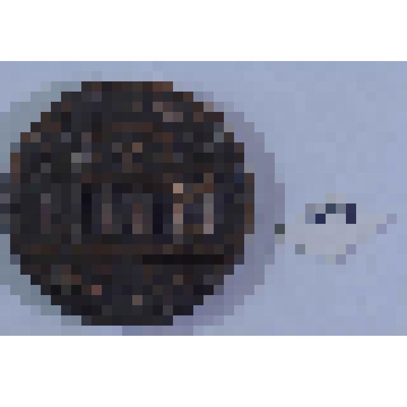 МЕДАЛЬ. ГОСУДАРСТВЕННЫЙ АКАДЕМИЧЕСКИЙ БОЛЬШОЙ ТЕАТР (ГАБТ)