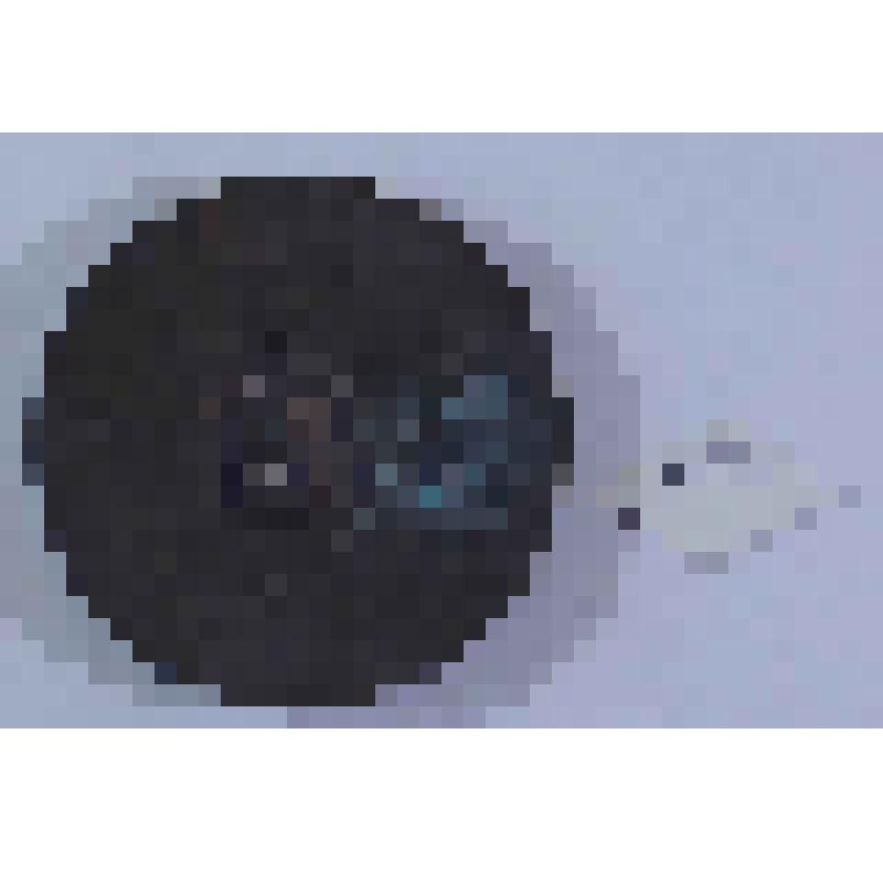 МЕДАЛЬ. ГОСУДАРСТВЕННЫЙ АКАДЕМИЧЕСКИЙ БОЛЬШОЙ ТЕАТР (ГАБТ)