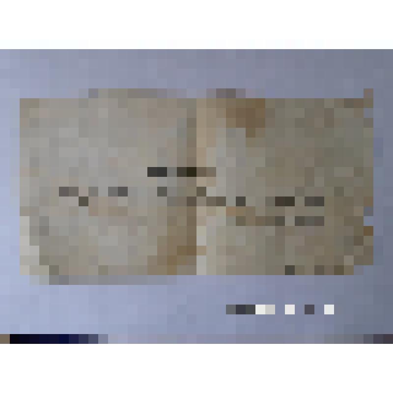 Книжка трудовая колхозника