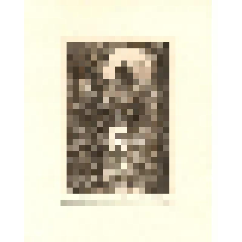 Гравюра. Санкт-Петербург. На Фонтанке