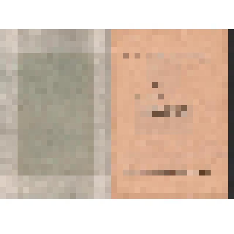 Брошюра. Общество Долой неграмотность и национальные меньшинства. Москва. Государственное издательство. 1928 г