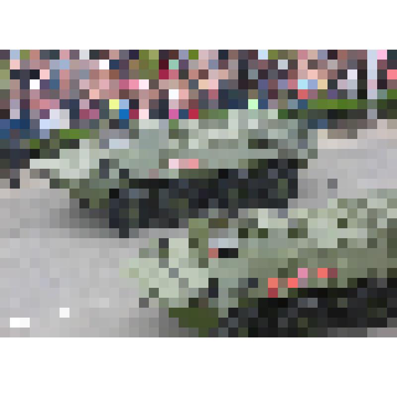 Фотография. Парад Победы 9 мая 2015 г в г. Ставрополе. 2 бронетранспортера БТР-80 на улице Дзержинского. г. Ставрополь. 2015 г