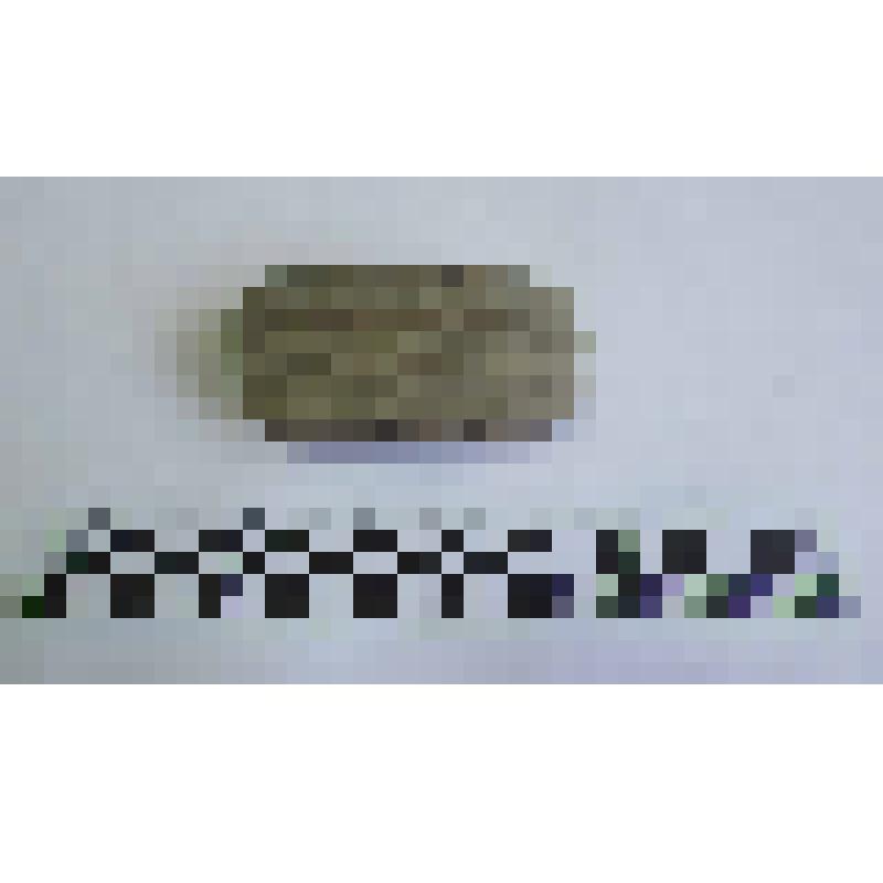 Ручка амфоры типа Зеест 72
