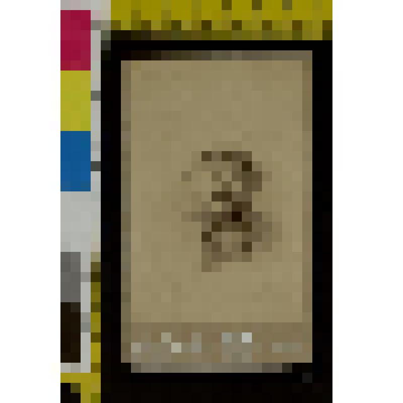 Фотография: Портрет Андрея Ильича Толстого (1895-1920)