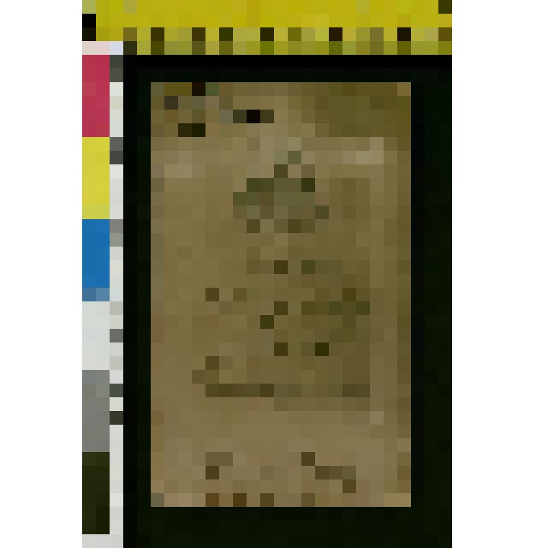 Фотография: Портрет Андрея Ильича Толстого (1895-1920)