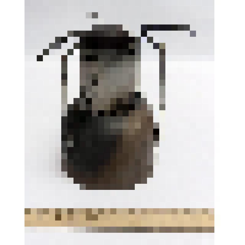 Примус туристический "Шмель"