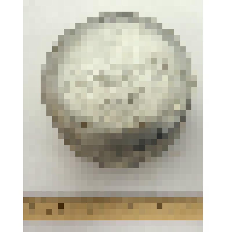 Примус туристический "Шмель"