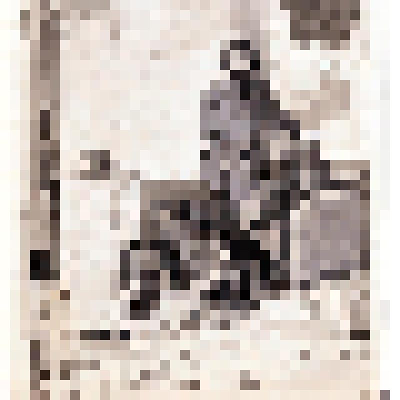 Н.Н. Ладыгина-Котс, А.Ф. Котс и Ф. Е. Федулов перед печкой. Рисунок