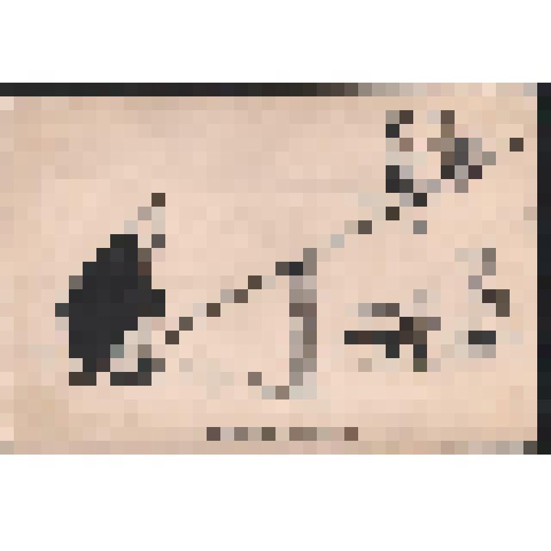 "В поисках равновесия"