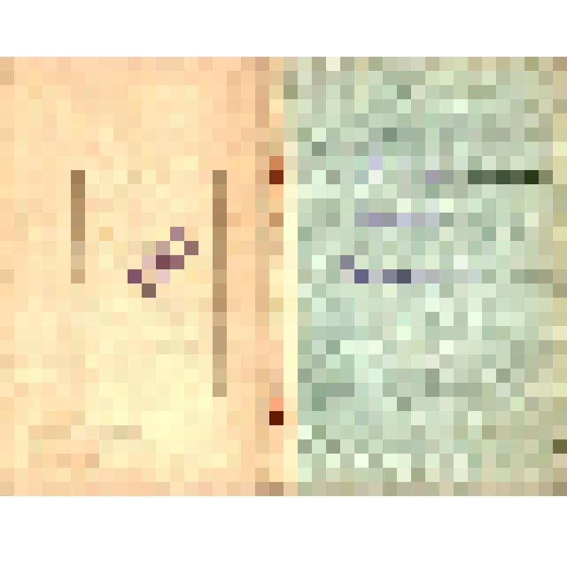 Орденская книжка Морозова Николая Константиновича (из коллекции документов семьи Морозовых)