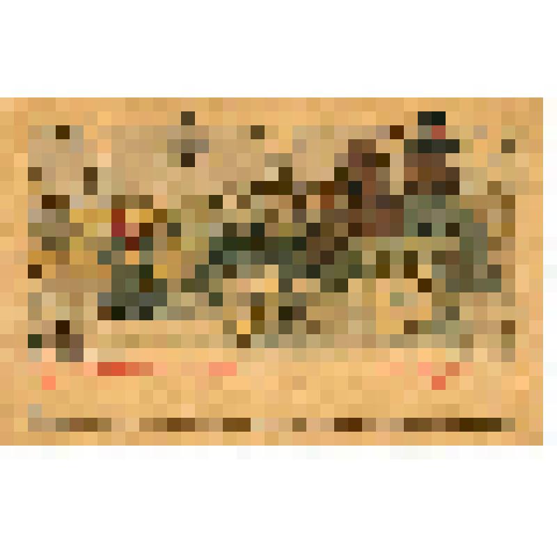 С новым годом с 1903 г. из коллекция открыток, собранной А.В Недошивиным. Альбом № 10. Открытка почтовая