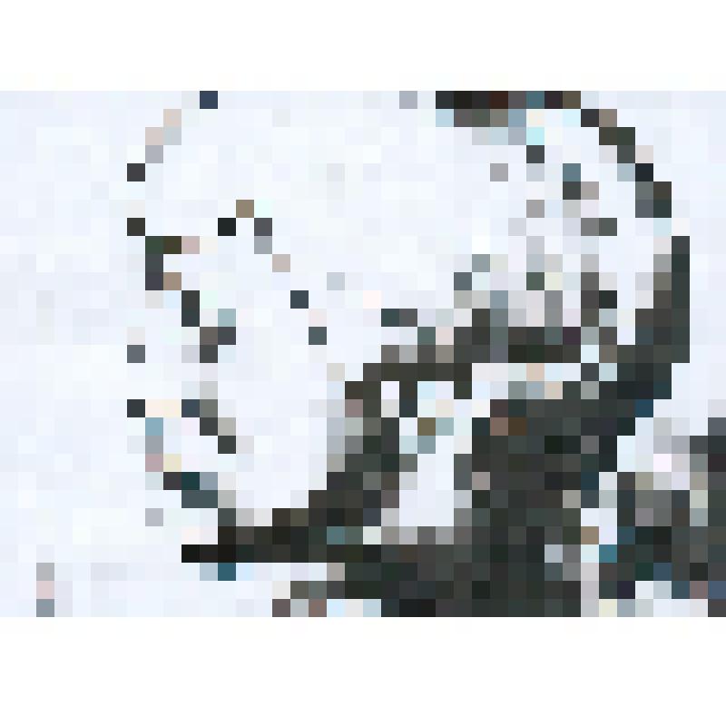 Иллюстрация к стихотворению А. А. Ахматовой «На шее мелких четок ряд…»