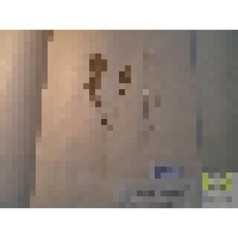 Горчица сарептская (Brassica juncea Czern.)