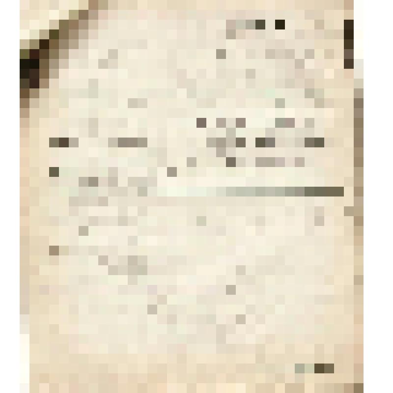 Телеграмма № 370 в г. Чердынь В.Н.Алину от Резбухина из г. Богословска, 17.09.1906