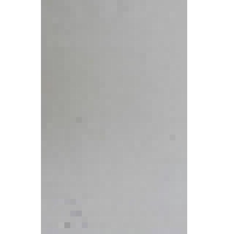 Портрет Морица Арндта