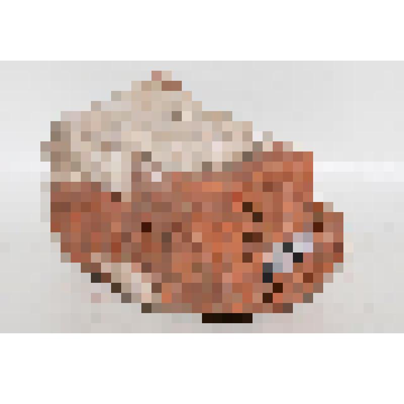 Кирпич (фрагмент) с клеймом на тычке "Единорог"