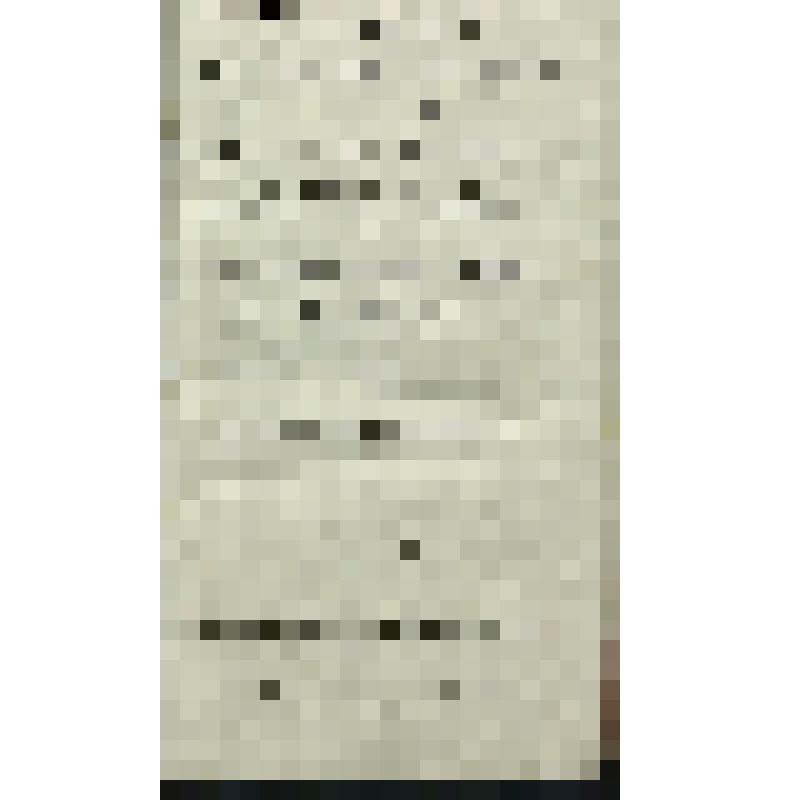 Книга. Часть III. Собрание поучительных слов, в разные времена проповедованных Святейшаго Правительствующаго Синода первенствующим членом Амвросием, митрополитом Новогородским и Санктпетербургским, Свято-Троицкия Александроневския лавры священно-архимандр