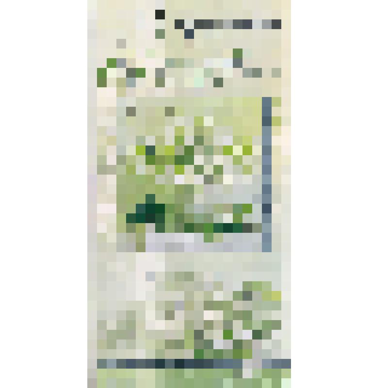 Открытка двойного сложения. С праздником 8 марта