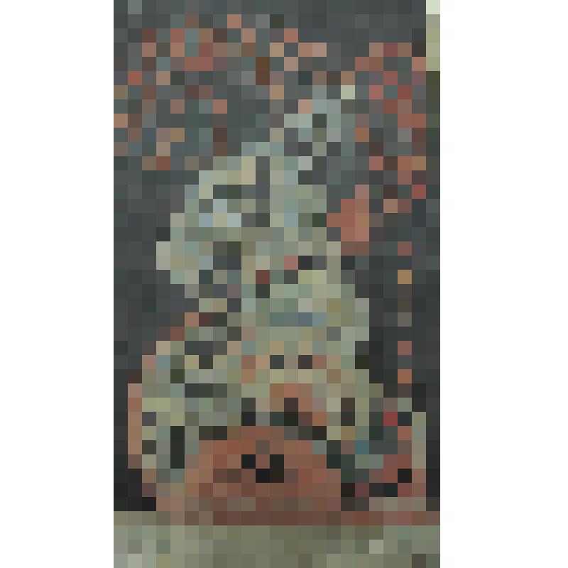 Орнаменты. Цветок. Завитки и кольца. Рисунок