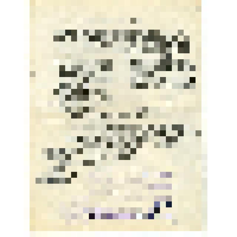 Материалы об операторах, собранные А.А. Лебедевым: Е.И. Славинский, М.Е. Славинская (режиссер документального кино)