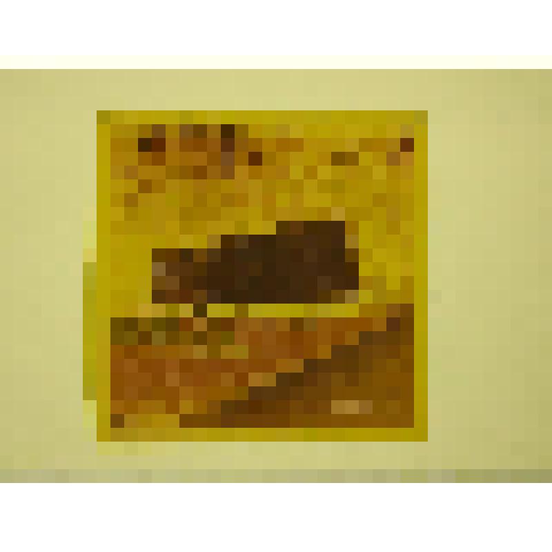 Памятник воинам-защитникам Москвы в Грачевском парке. г. Москва. Памятник воинам-защитникам Москвы в Грачевском парке. Бурганов А. Общий вид