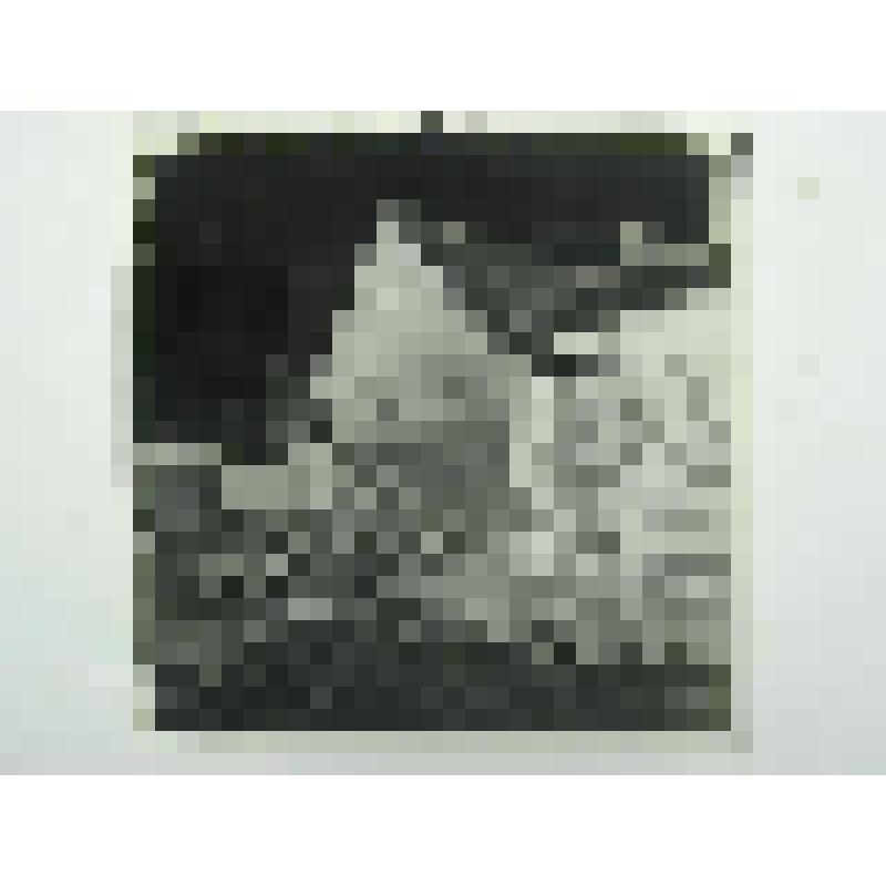 Дом Беспаловых. Ул. Дзержинского, 39. сер. XIX в. Челябинская  обл., г. Карабаш, пос. Южный (с.Саймоновское). Дом Беспаловых. Ул. Дзержинского, 39. сер. XIX в. Общий вид дома с улицы