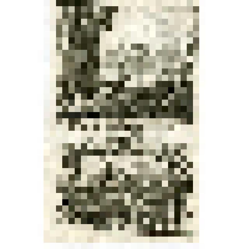 Офорт. Лист 129. Иллюстрации к Книге пророка Аггея