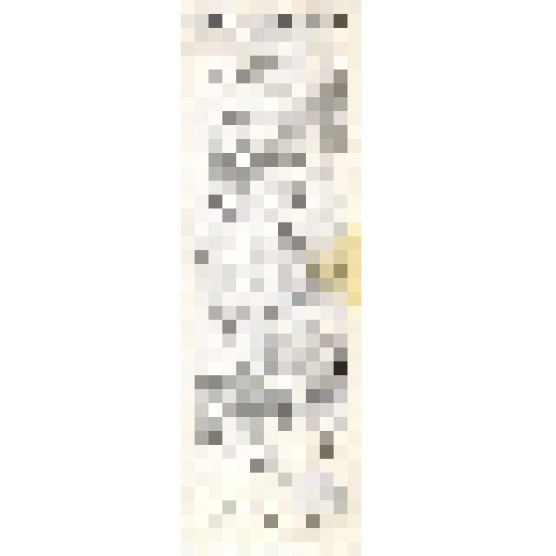 Российская социал-демократическая рабочая партия. Кавказский союз РСДРП. Тифлисский комитет РСДРП. Товарищи! (на груз.яз)