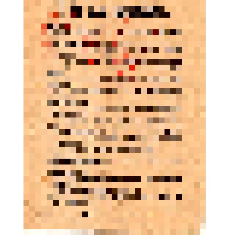 Политотдел Юго-Западного фронта. В чем сила Красной Армии