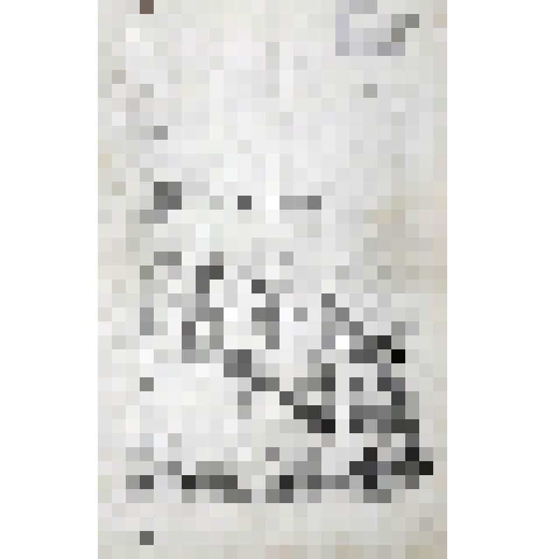 Обвинительный акт