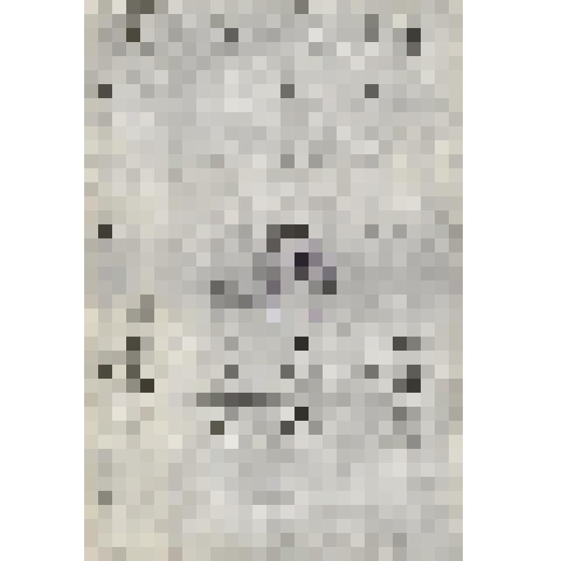 Карточка потребителя на 20,100 карбованцев сроком на 6 месяцев