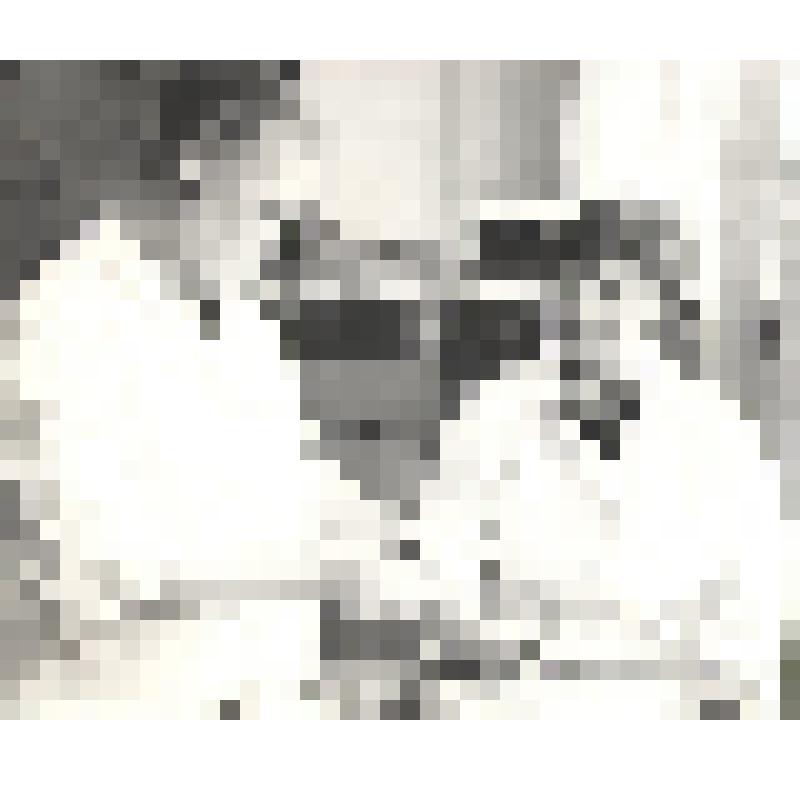 Фотоснимок групповой, ч/б, сотрудниц участка шаблонных изделий ЗСФ