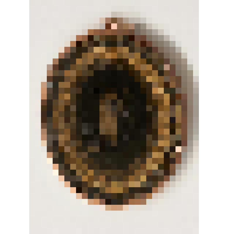 Миниатюра. "Мужской портрет в овале, украшенный тремя рамочками растительного орнамента, с монограммой "A M " на обороте"