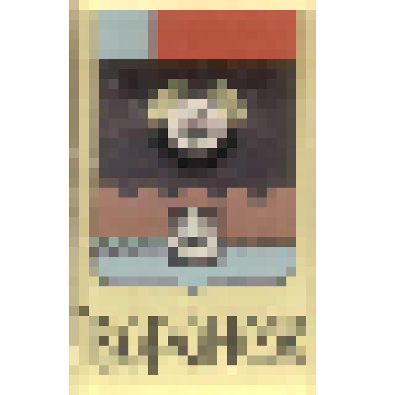 Значок нагрудный с изображением герба г.Воронежа. Из коллекции по теме "Геральдика"