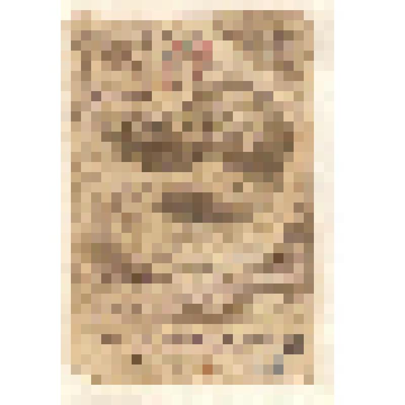 Коллекция спичечных этикеток Павла Немцова. "Хорёк-перевязка"