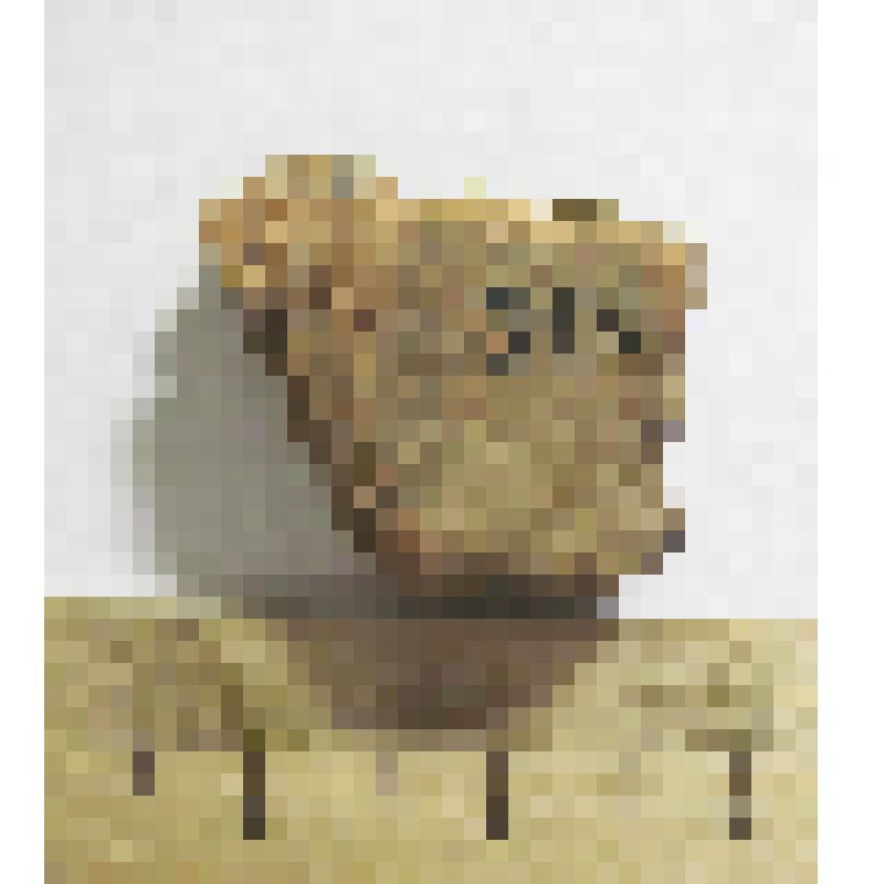 Фрагмент керамики