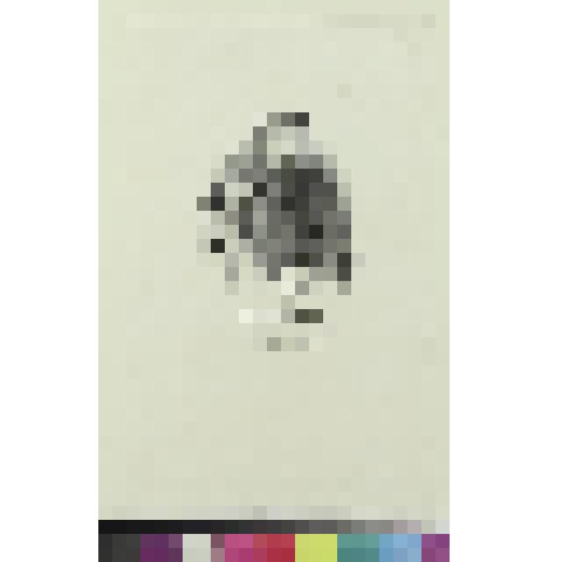 Портрет Малашовского, гравюра