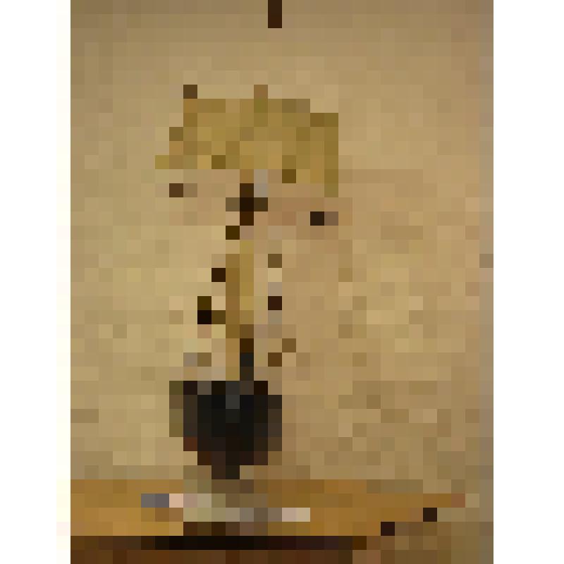 Модель. Галиот на подставке