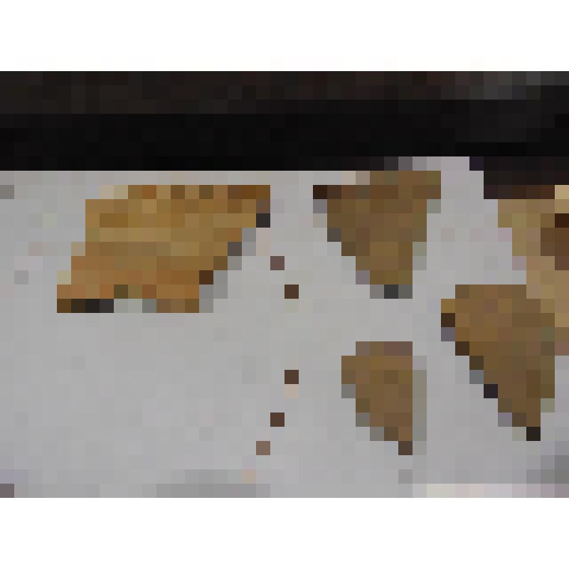 Фрагменты сосудов