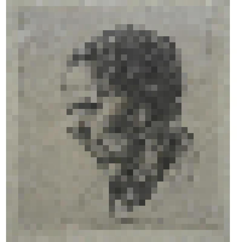 Гравюра. Т.Царюк