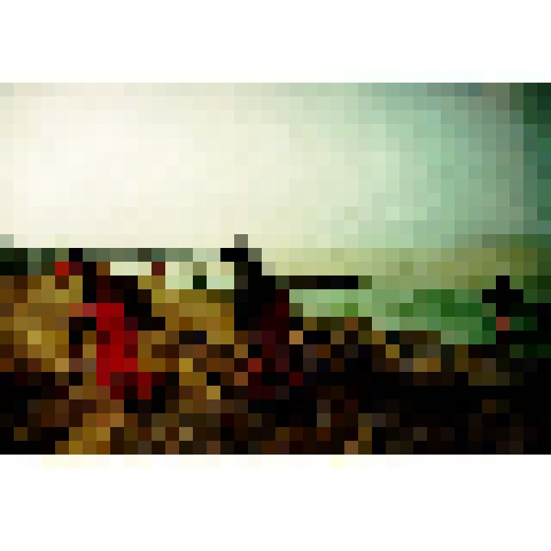 Завершение путины. Рыбколхоз "Социалистический путь"