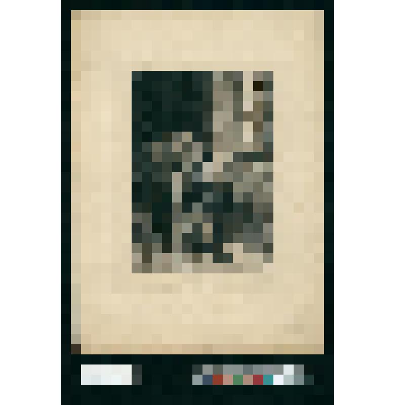 Бытовая сцена. Читальщик