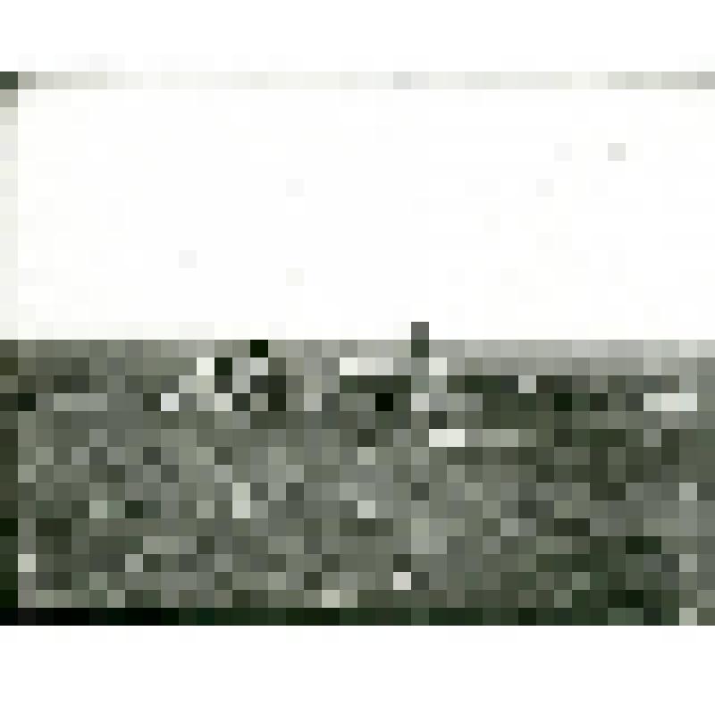 Фотография. Распилка леса