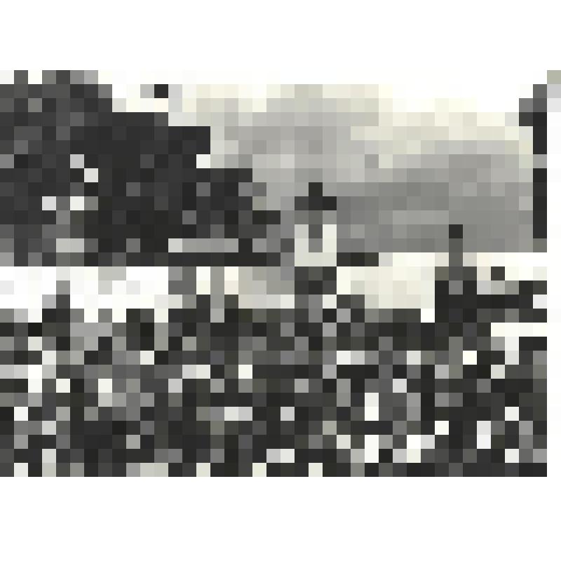 Фотографии. Фото ч/б. Митинг в Новороссийске в честь 30-летия разгрома фашистов и присвоения ему звания Город-герой, 1973 г