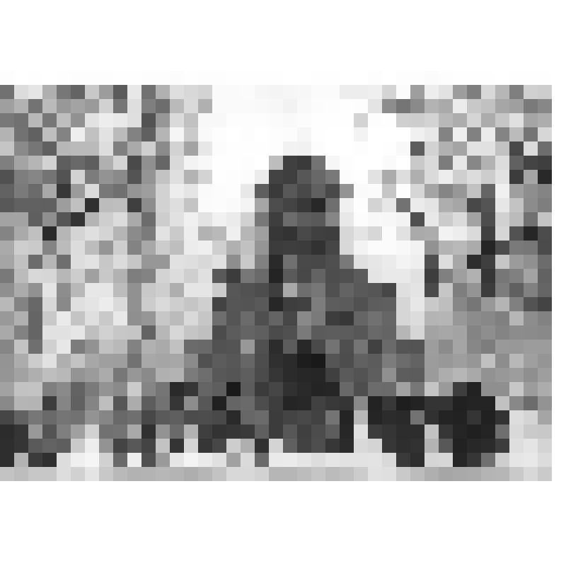 Фотографии. Открытие Собора Воскресения Христова для проведения первого богослужения во время празднования Рождества Христова