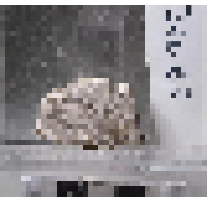 Фрагмент белого мозаичного пола