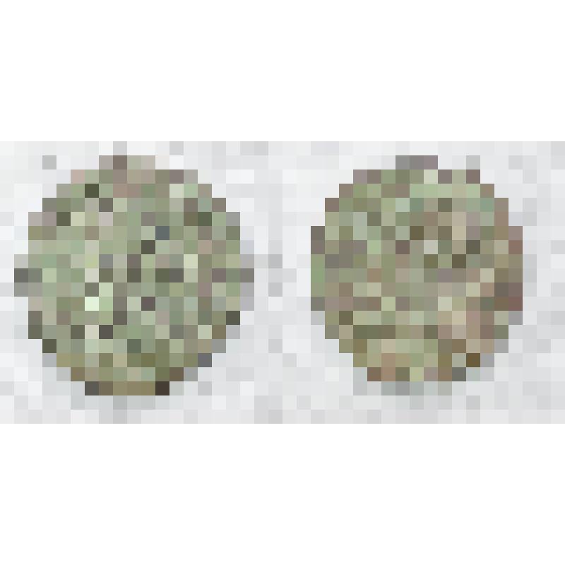 Монета. Денга