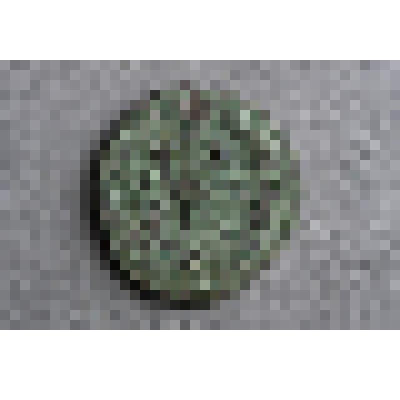 Монета. Денга